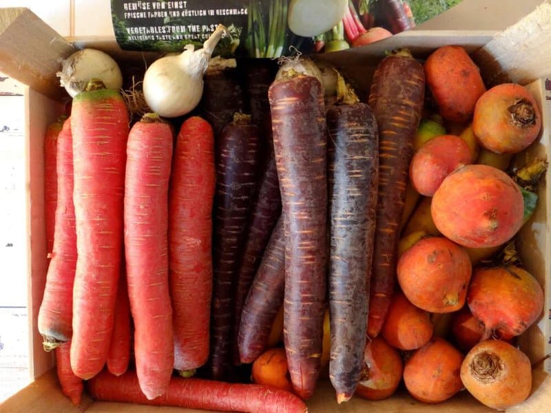 Wilde Wortelen – Rainbow-Carrot Lemonade