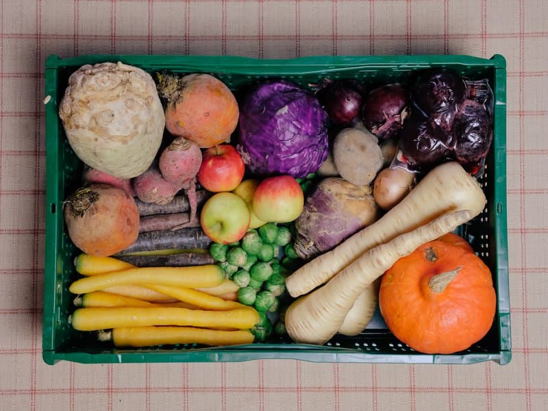 Operation Food Freedom – Grounded Veg Boxes — image 2