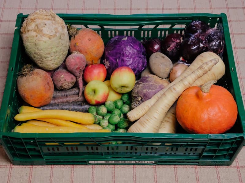 Operation Food Freedom – Grounded Veg Boxes — image 3
