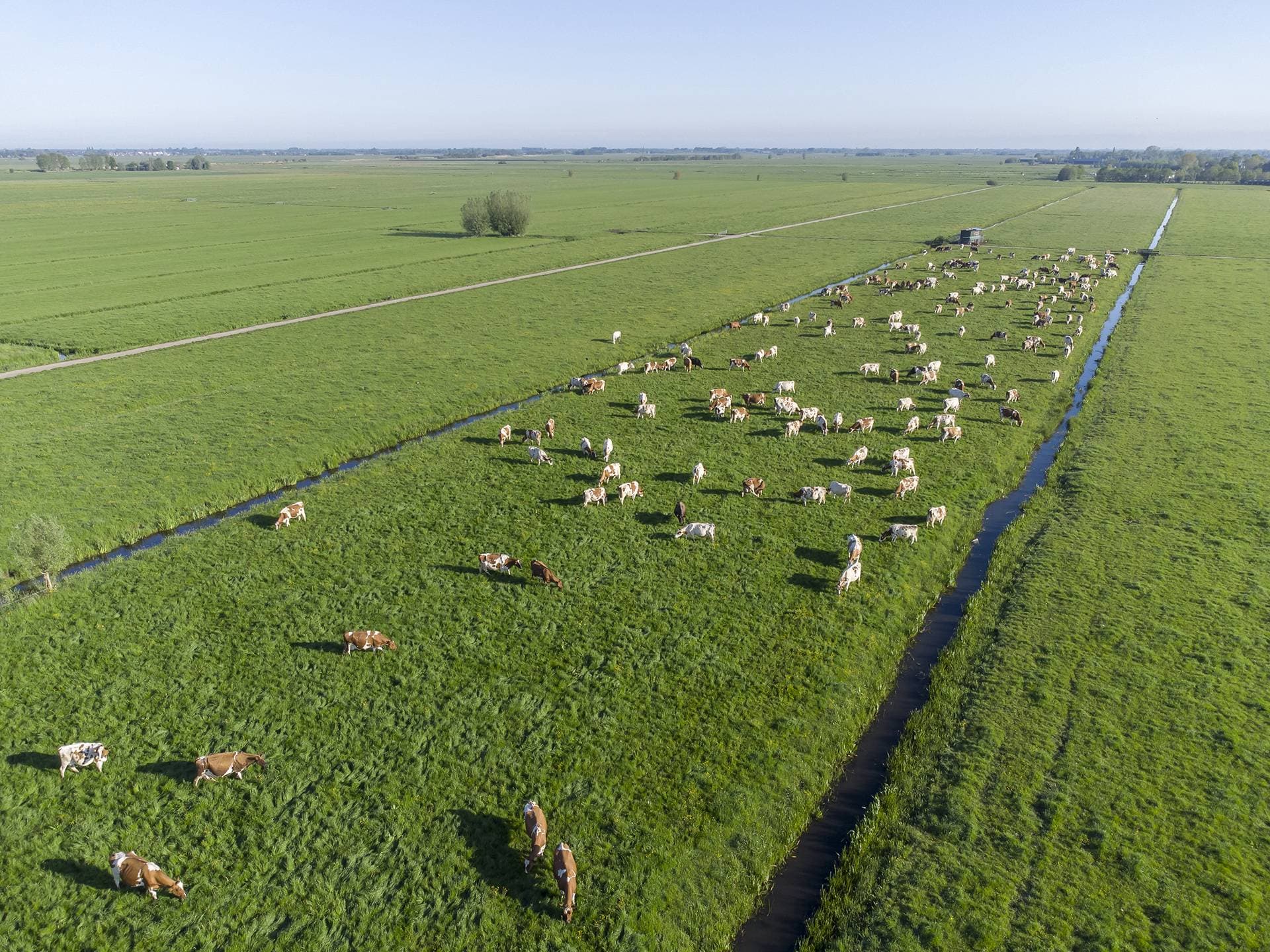 BoerBert Organic Dairy Farm – Kamerik