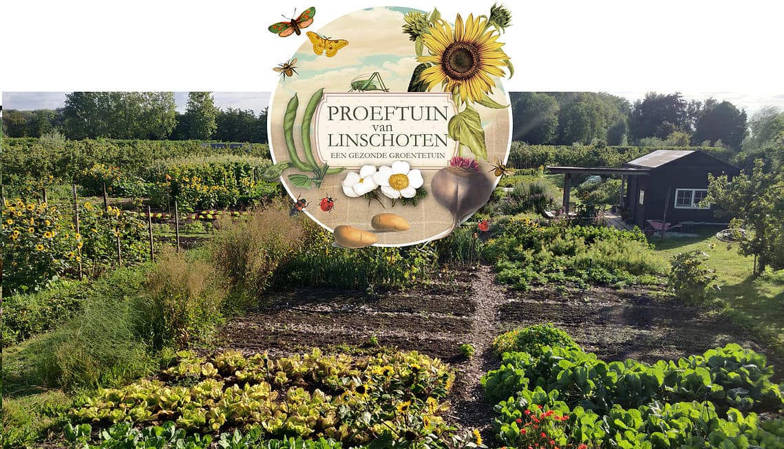 Proeftuin van Linschoten – Community Market Garden